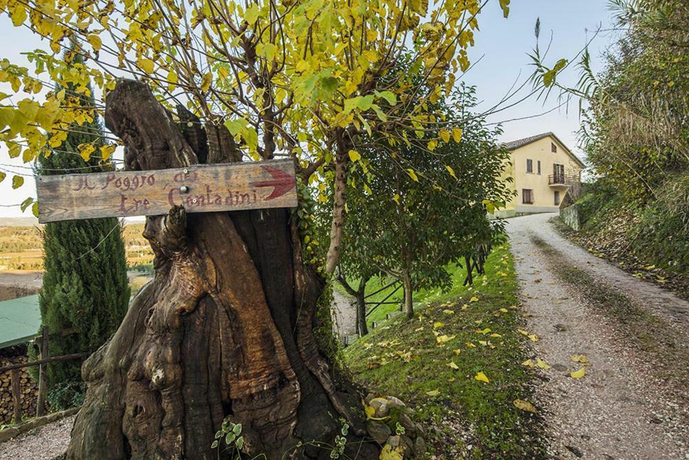 Il Poggio Dei Tre Contadini Villa Ponte Felcino Eksteriør bilde